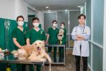 Profile bệnh viện thú y Pet Joy - Niềm vui thú cưng